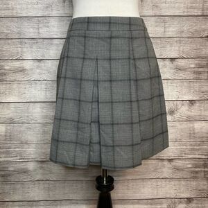 Loft Pleated Skirt